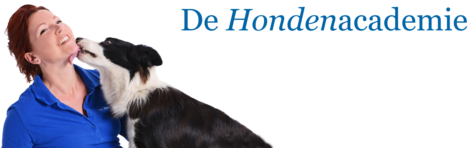 De Hondenacademie, train met je hond binnen