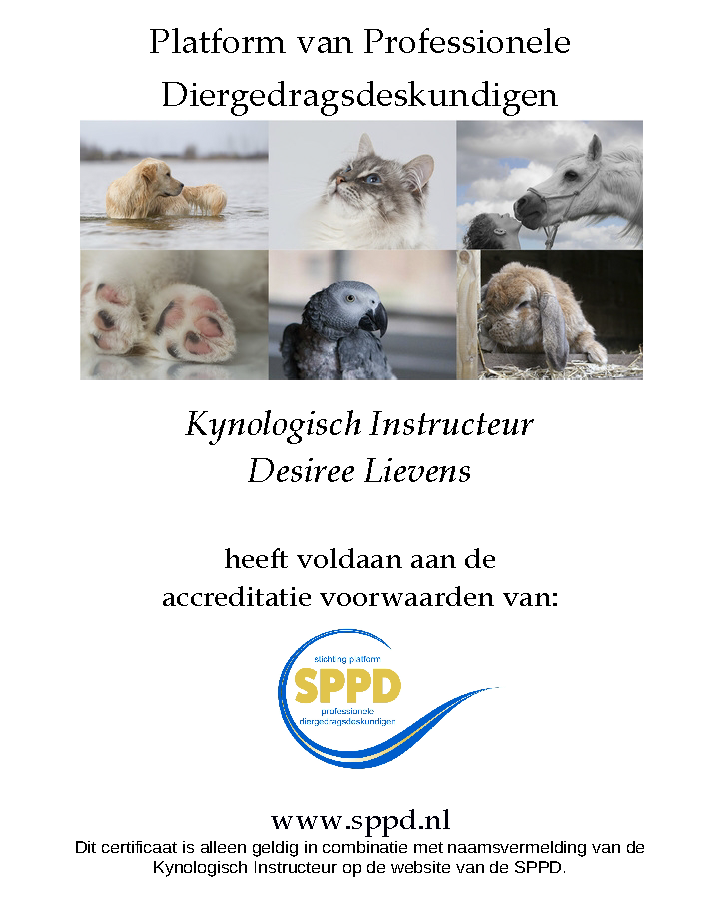 certificaat Instructeurs 2023 Desiree Lievens